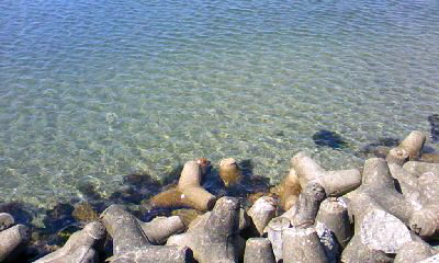 f:id:ragabi:20090803140150j:image f:id:ragabi:20090803140150j:image