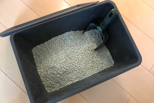 f:id:ragdoooll:20190810134422j:plain f:id:ragdoooll:20190810134422j:plain