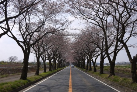 f:id:ragi-jun:20120406091917j:image f:id:ragi-jun:20120406091917j:image