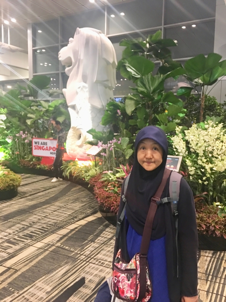 f:id:rahmaway:20180825144502j:plain