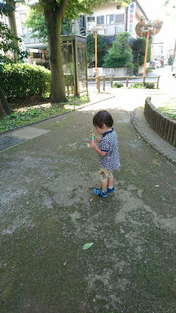 f:id:rai527:20160928175924j:image