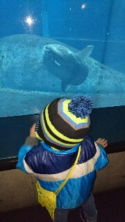 f:id:rai527:20170325233012j:image