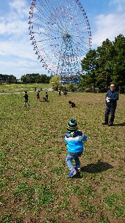 f:id:rai527:20170325233035j:image