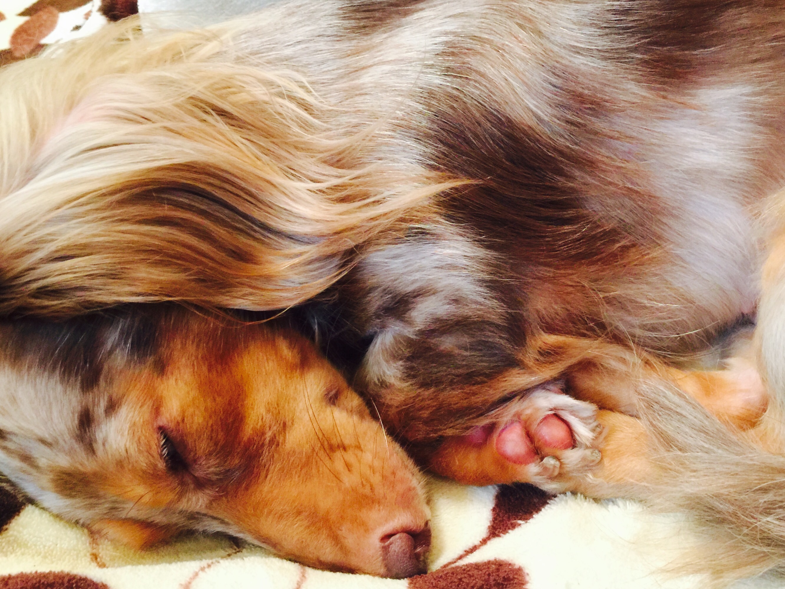 f:id:raiannka:20161120092027j:plain f:id:raiannka:20161120092027j:plain