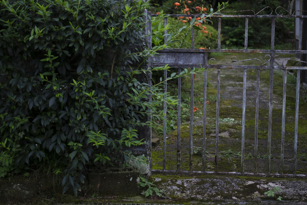 f:id:raich_foto:20200714001312j:plain f:id:raich_foto:20200714001312j:plain