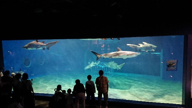 f:id:raichishark:20200413130314j:image f:id:raichishark:20200413130314j:image