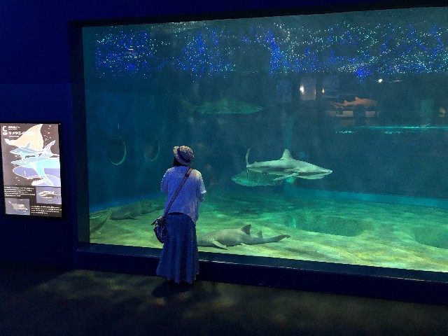 f:id:raichishark:20200413131024j:image f:id:raichishark:20200413131024j:image