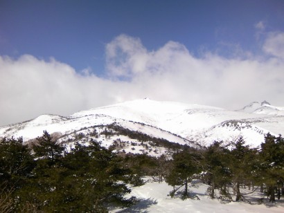 f:id:raicho_blog:20090328132125j:image