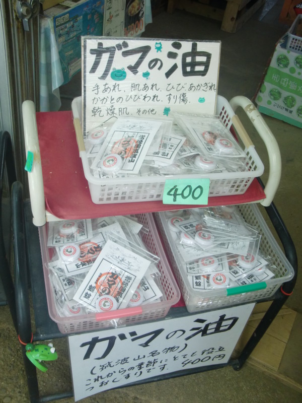 f:id:raicho_blog:20110520223155j:image:w360