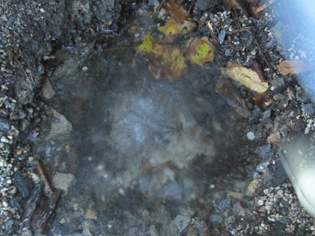 f:id:raiden555:20171013020822j:plain