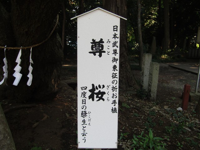 f:id:raiden555:20181029142947j:image