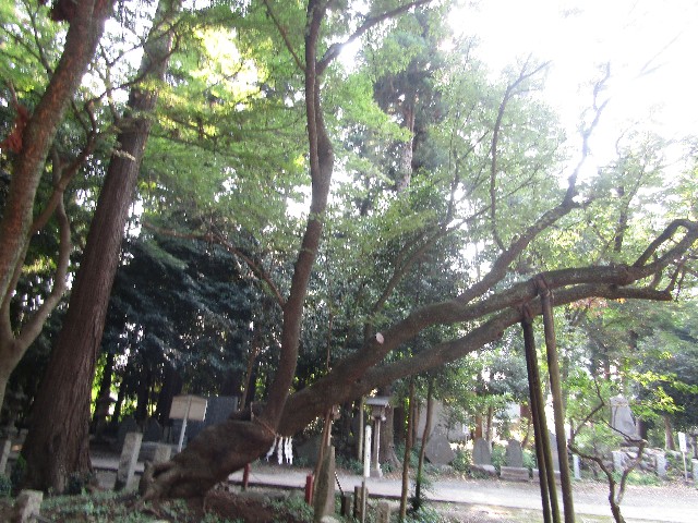 f:id:raiden555:20181029143001j:image