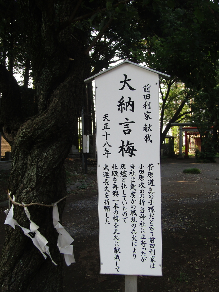 f:id:raiden555:20181029143455j:plain