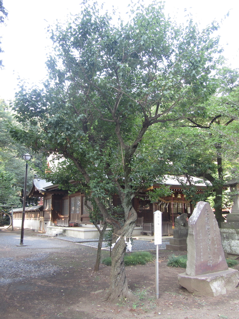 f:id:raiden555:20181029143639j:plain