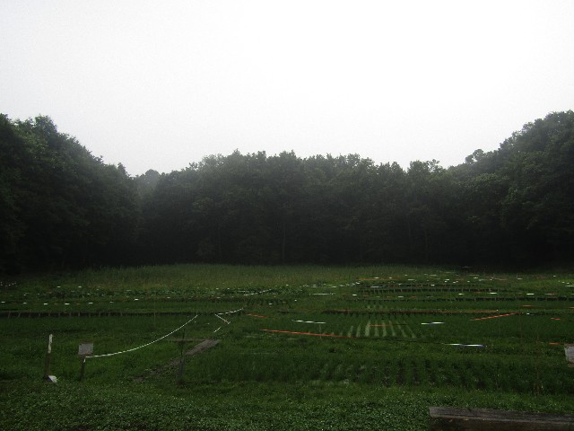 f:id:raiden555:20181101125933j:image