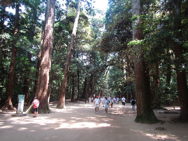 f:id:raiden555:20181127121939j:image