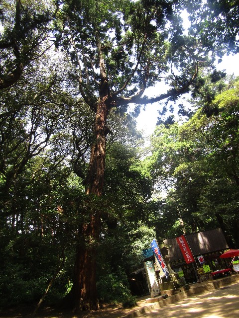 f:id:raiden555:20181127134023j:image