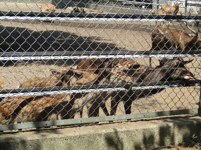 f:id:raiden555:20181127134122j:image