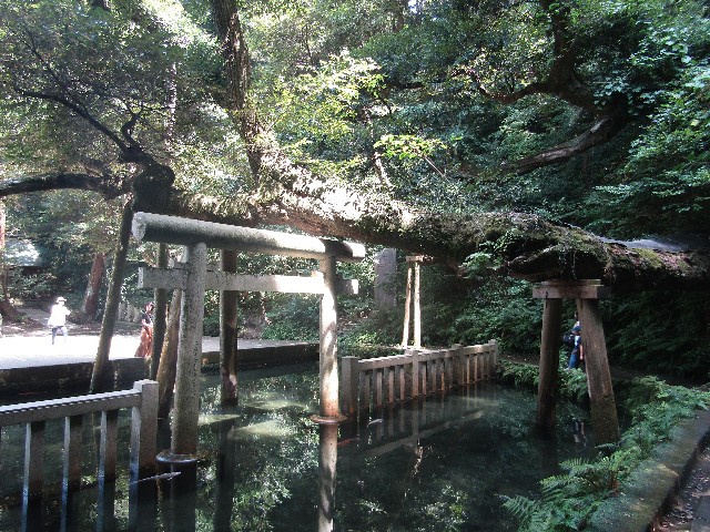 f:id:raiden555:20181127135544j:image