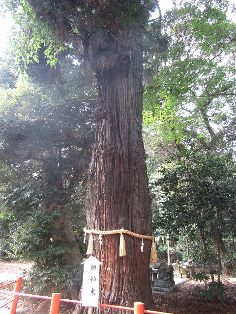 f:id:raiden555:20181128134344j:image