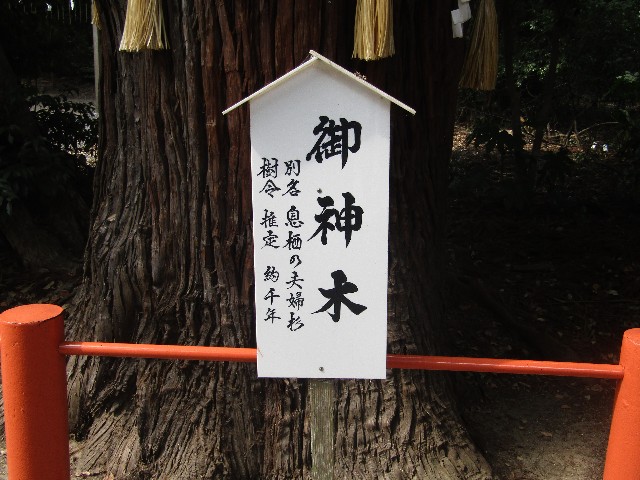 f:id:raiden555:20181128134425j:image