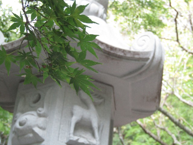 f:id:raiden555:20181201133857j:image