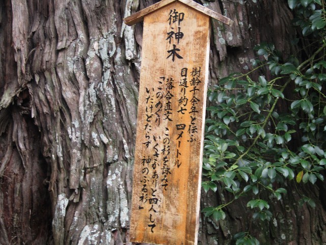 f:id:raiden555:20181203111757j:image