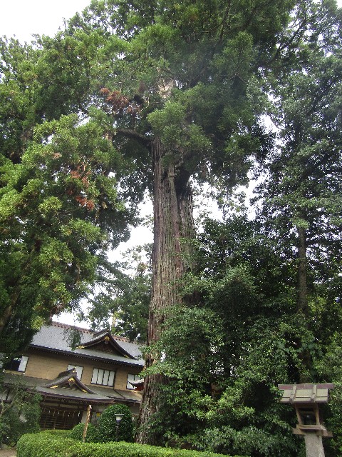 f:id:raiden555:20181203111826j:image