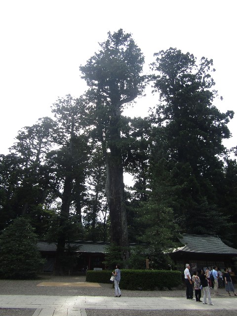 f:id:raiden555:20181203111843j:image