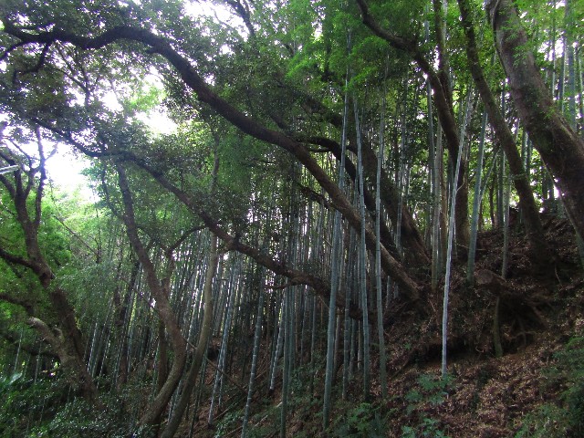 f:id:raiden555:20181203112647j:image