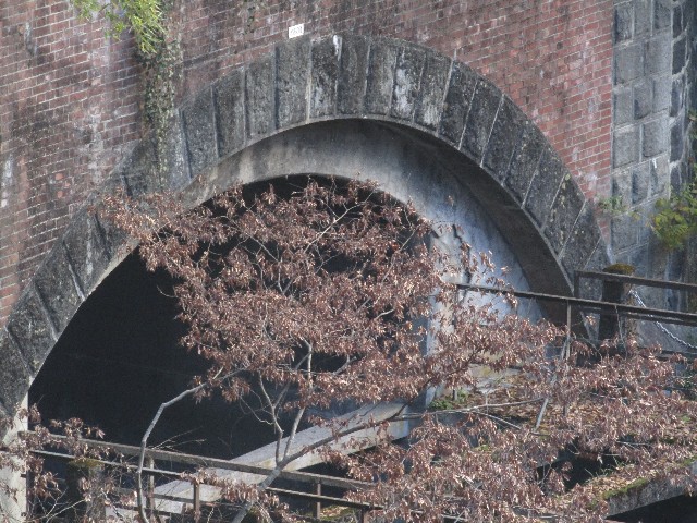 f:id:raiden555:20181230022139j:image