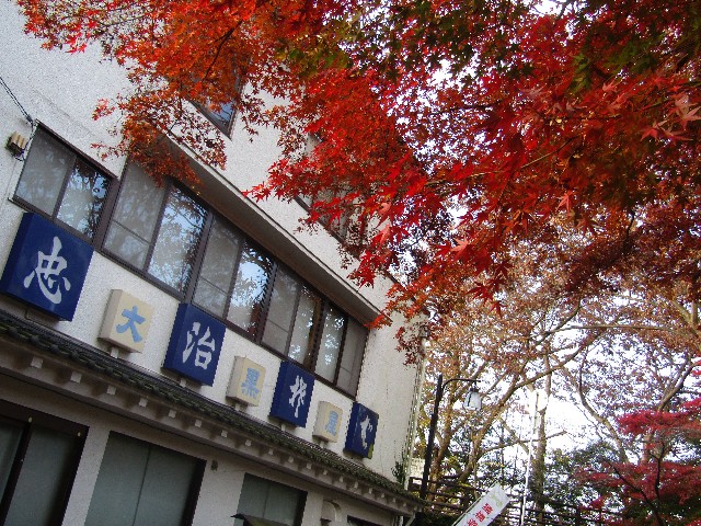 f:id:raiden555:20181230024334j:image