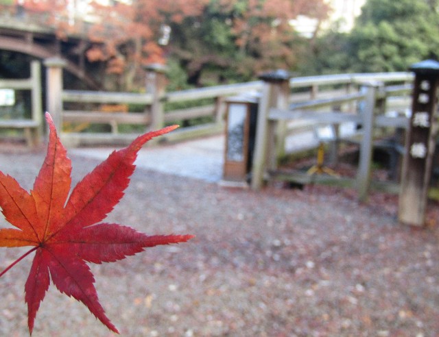 f:id:raiden555:20181230025527j:image