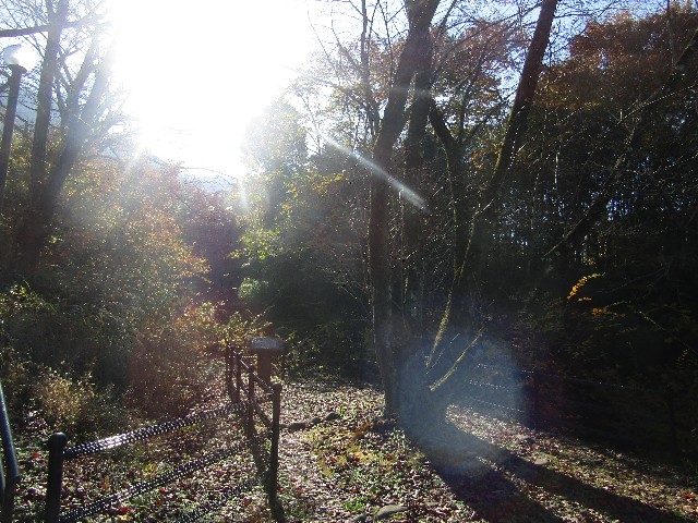 f:id:raiden555:20181230034142j:image