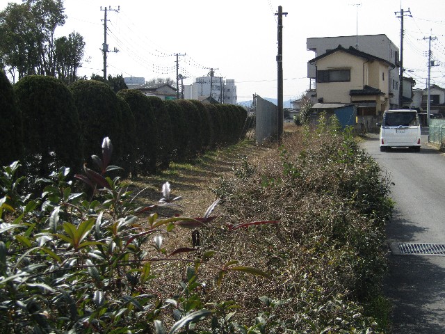 f:id:raiden555:20190225145444j:image f:id:raiden555:20190225145444j:image