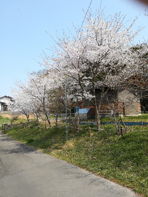 f:id:raiden555:20190604161516j:image