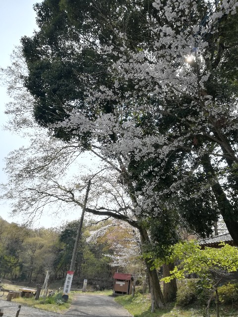 f:id:raiden555:20190604161538j:image