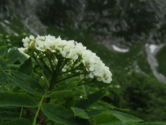 f:id:raiden555:20190802032839j:image f:id:raiden555:20190802032839j:image