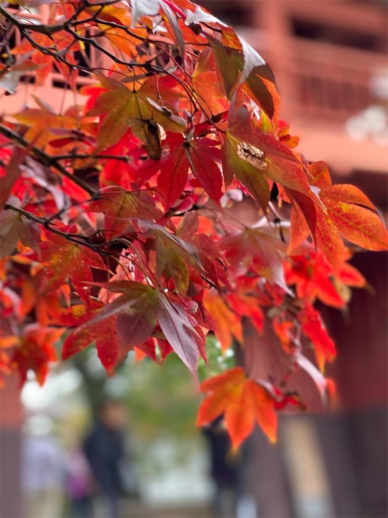 f:id:raiden555:20191026213904j:image