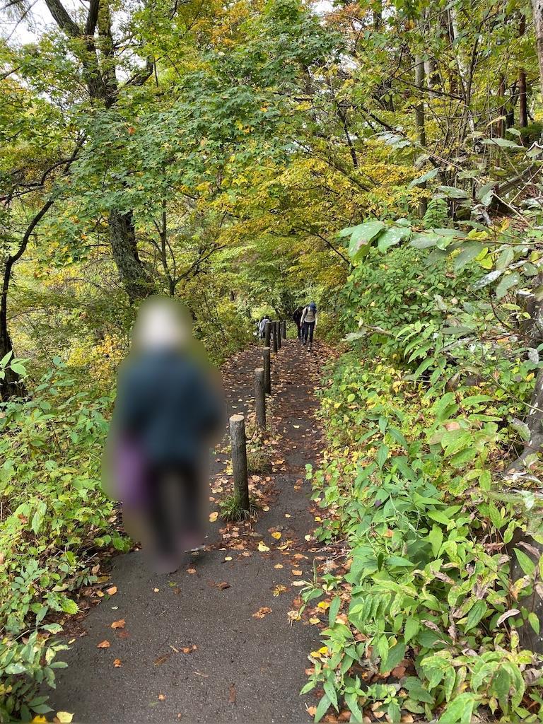 f:id:raiden555:20191027122841j:image