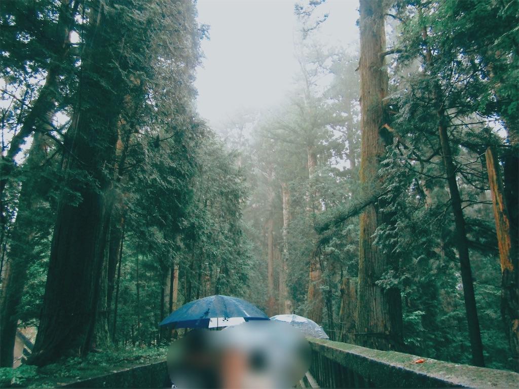 f:id:raiden555:20191105133427j:image