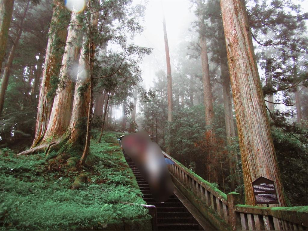 f:id:raiden555:20191105133439j:image