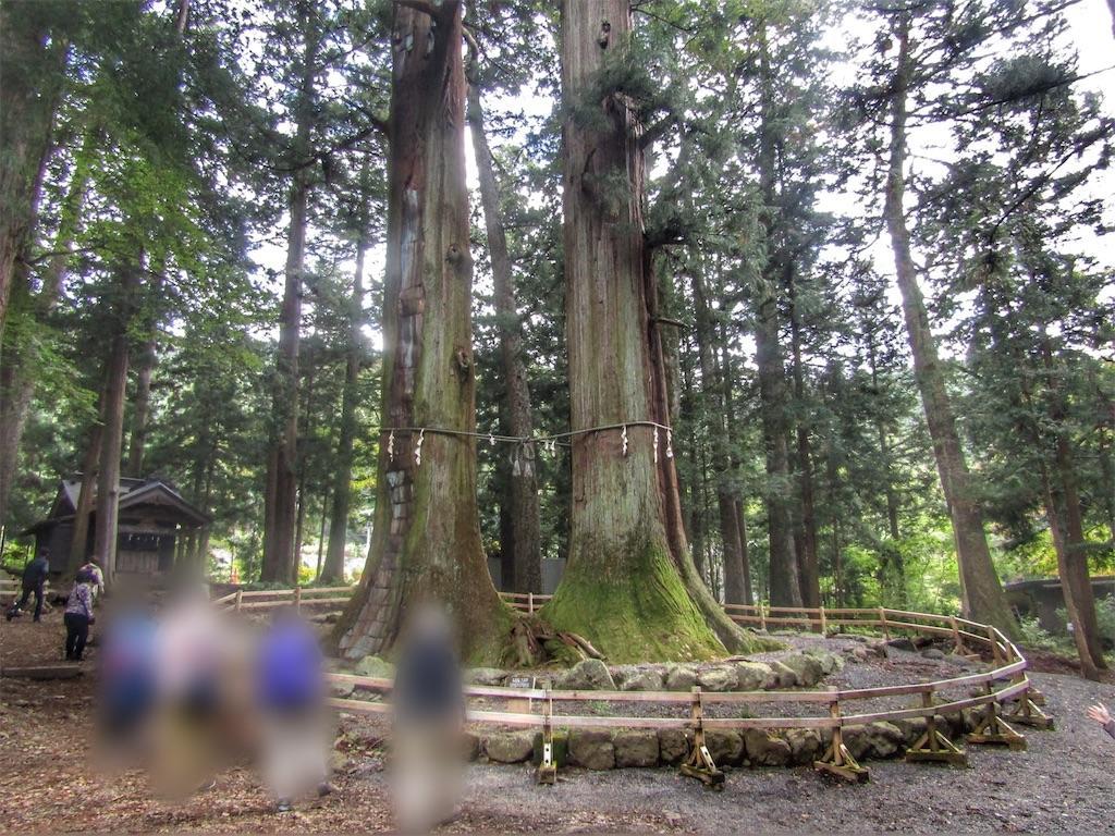 f:id:raiden555:20191118160558j:image