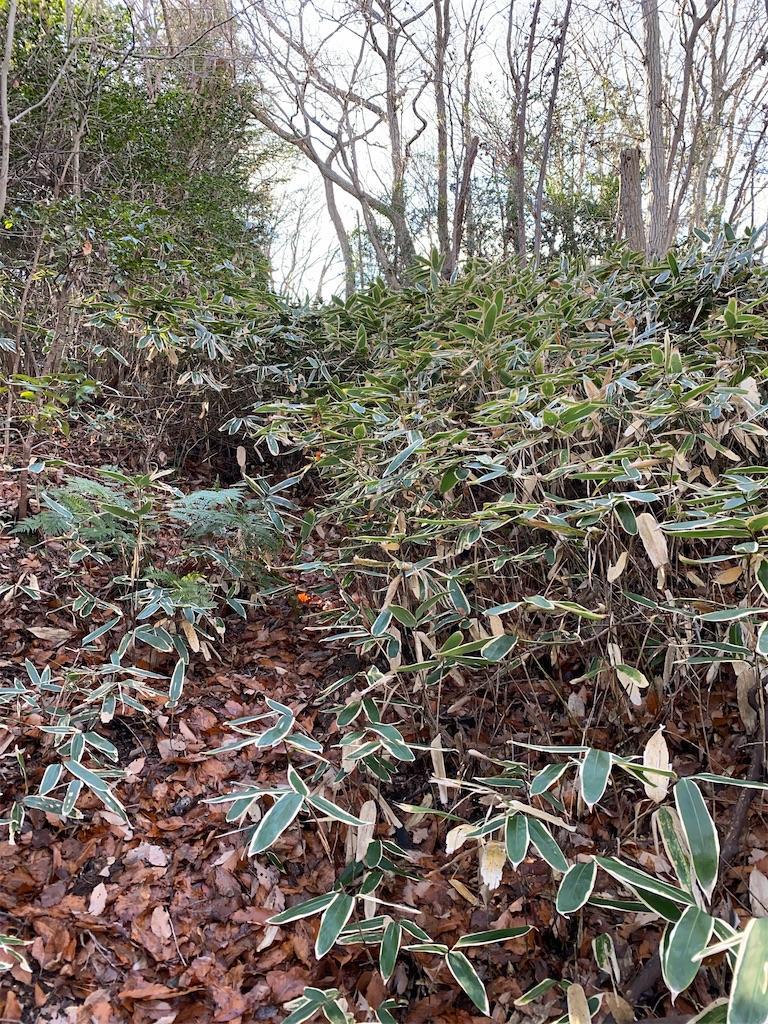 f:id:raiden555:20200130134911j:image