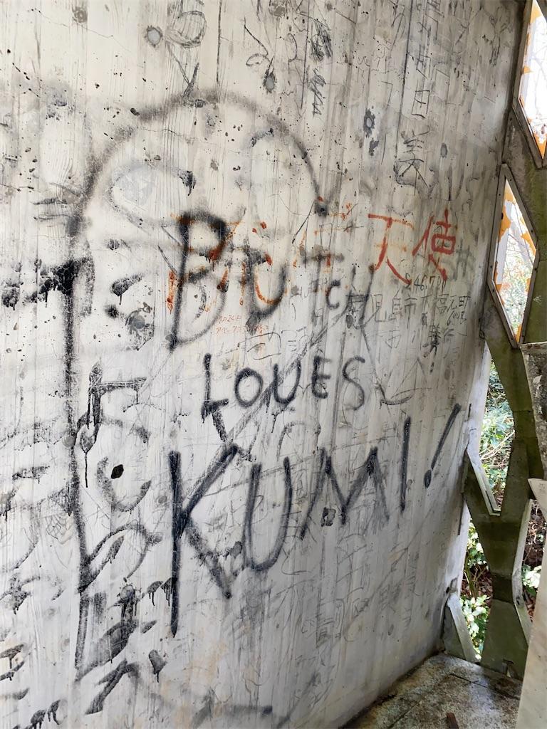 f:id:raiden555:20200131145854j:image