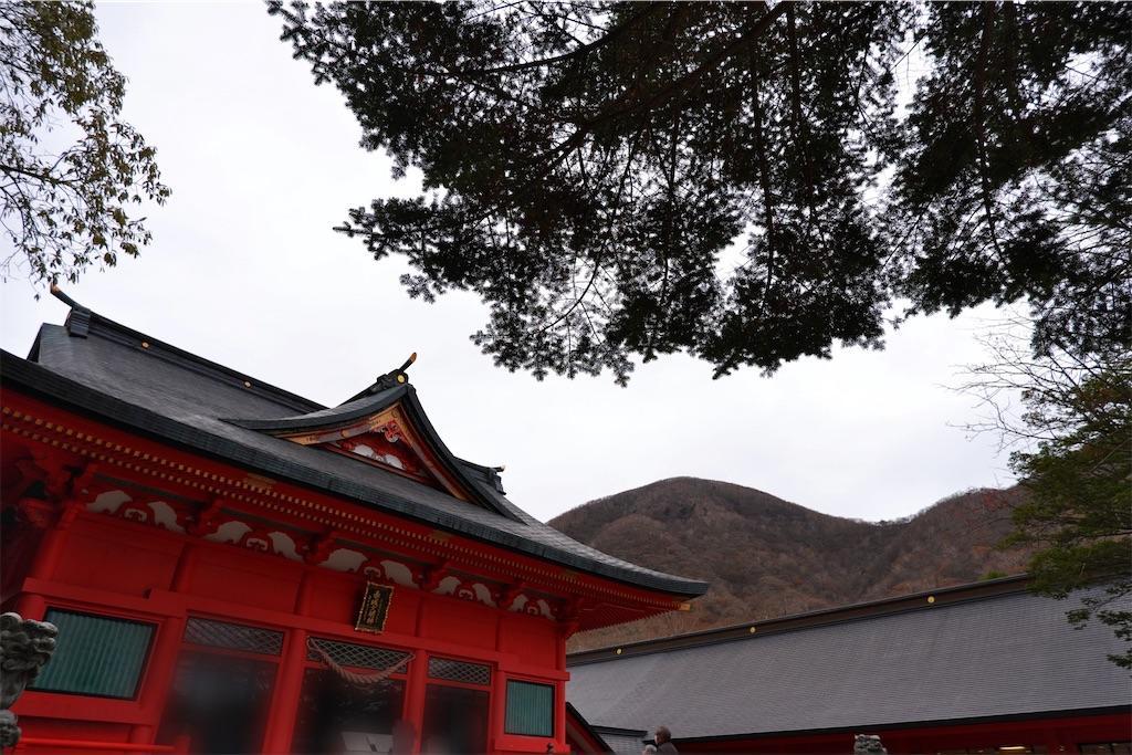 f:id:raiden555:20201111131552j:image f:id:raiden555:20201111131552j:image