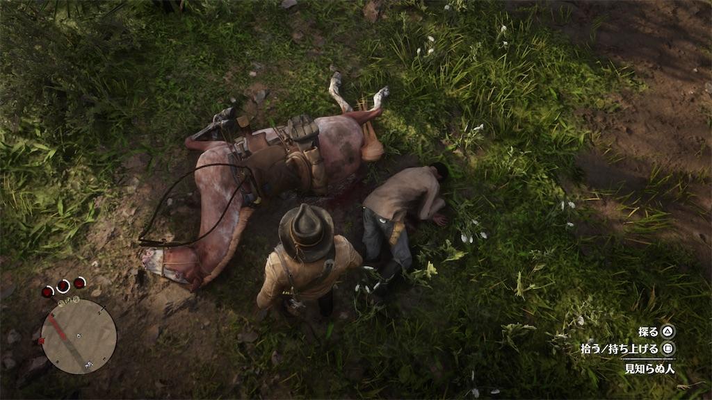 f:id:raiden555:20201123230335j:image f:id:raiden555:20201123230335j:image