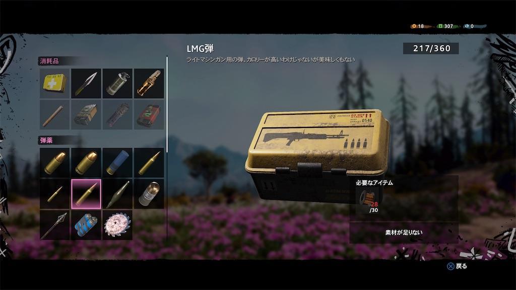 f:id:raiden555:20210611112844j:image