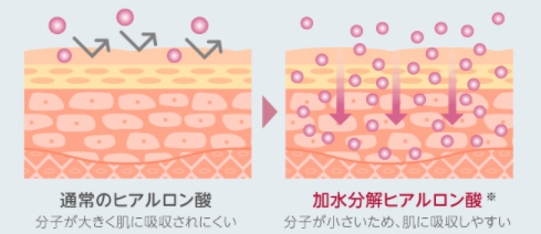 f:id:raido481025:20180331155933j:plain f:id:raido481025:20180331155933j:plain