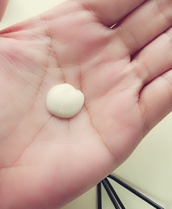 f:id:raido481025:20180910172317j:plain